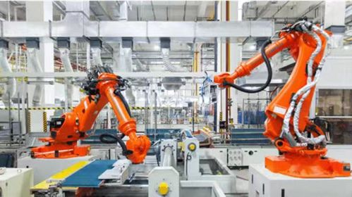 新質(zhì)生產(chǎn)力踐行者 科技篇 七 卡奧斯家電 以智,取勝